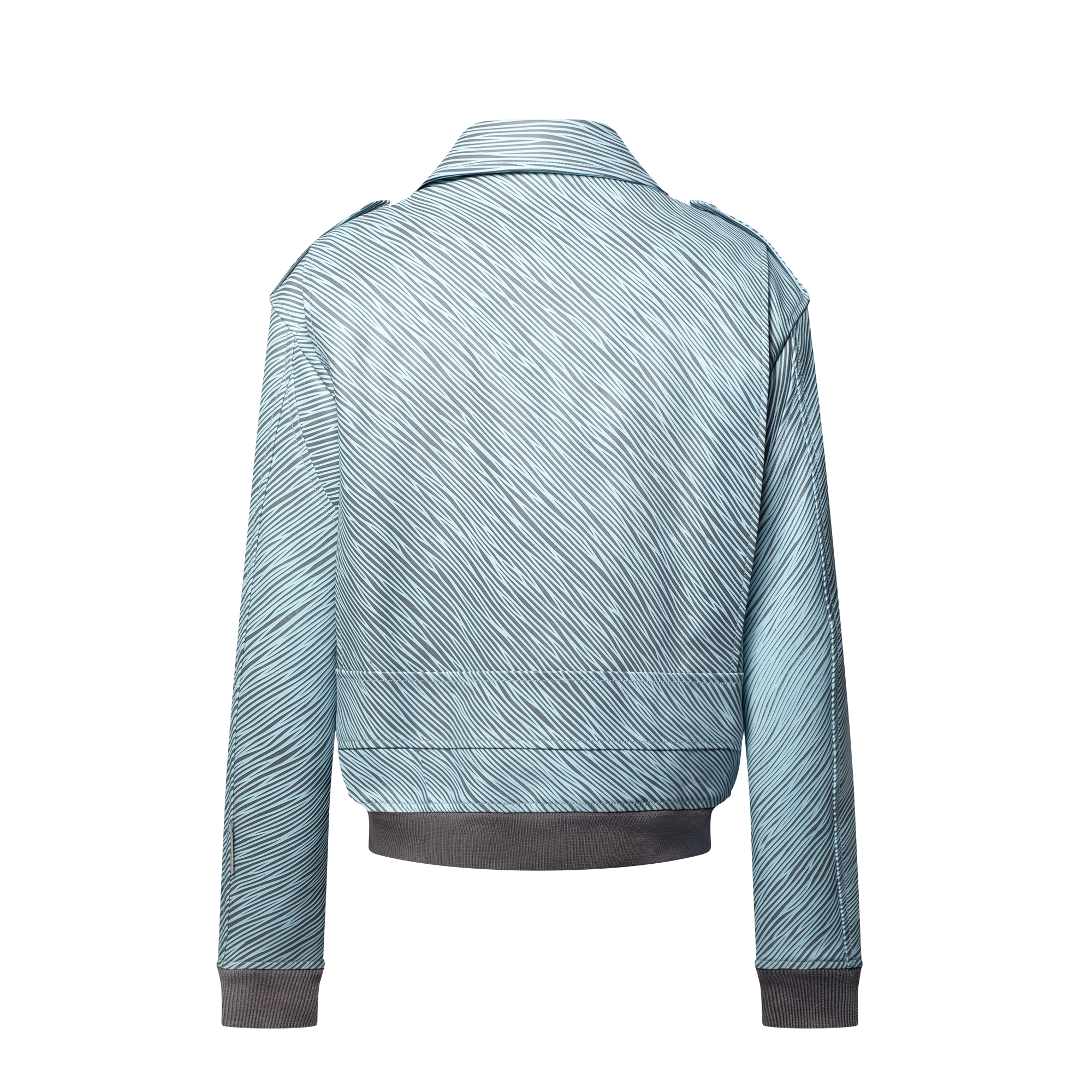 LV x Park Seo-Bo Epi Leather Flight Jacket  in Men's Ready-to-Wear Outerwear and Coats collections by Louis Vuitton (Product zoom)